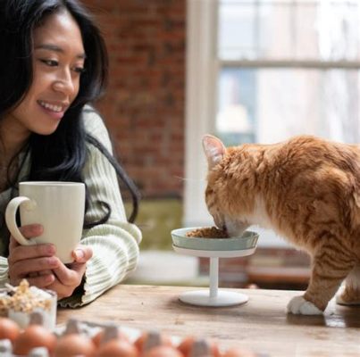 how long can cat food sit out on the counter without spoiling