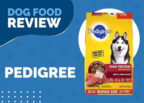 Is There a Recall on Pedigree Dog Food, and Should Pet Owners Be Concerned About Their Dogs' Nutrition?